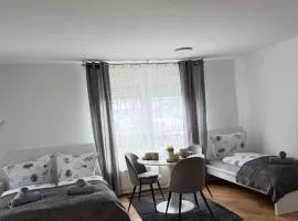 Gemütliche Ferienwohnung in Sigmaringen