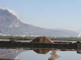 Il Fenicottero