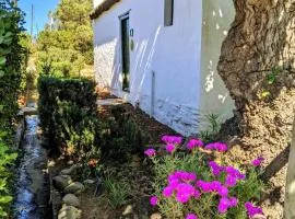 Old Corner Cottage