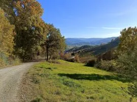 B&B La Piccola Lepre