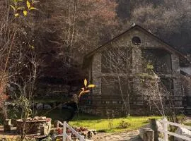 Villa Apollonia Jezerc