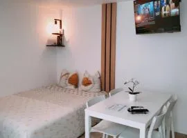 Duplex Hyper centre-ville 10