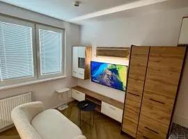 Apartman SnP
