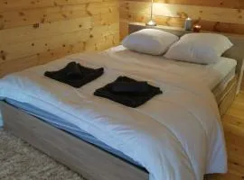 Chalet cocooning dans les Pyrénées - Ski, randos & Tour de France 2026