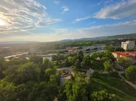 Lunjica