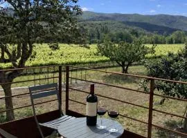 Balcon sur les vignes - Loft de charme 2 pers