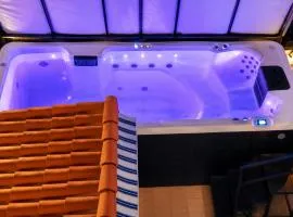 Piscine Jacuzzi Privée Chauffée, Terrasse et Garage à Nice
