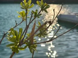 Echoes of Mljet - Odjeci Mljeta