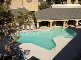 Sheraton Tucson Hotel & Suites
