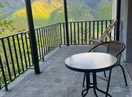 Guesthouse in Lankhvri