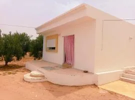 Jerba