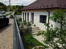 Casa David