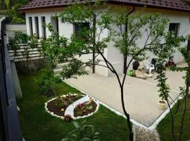 Casa David