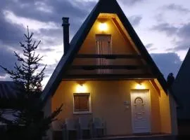 D&N place - forest house Zabljak