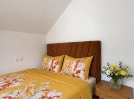 Apartman Slapovi