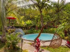 Magic Green Dentro del Parque Tayrona