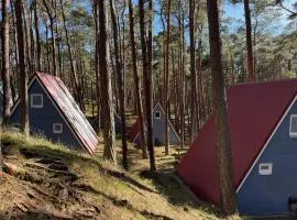 Entspannung garantiert, Finnhütte umgeben von Natur und Ostsee - Kurt