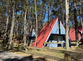 Finnhütte mit Flair - Ruhe, Waldspaziergänge und nur 200m zum Strand - Ole