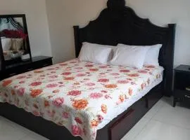 New Kingston Condo Apt