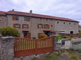 Gîte spacieux et rénové avec équipements modernes, terrasse et vaste jardin près de Gévaudan et Margeride - FR-1-582-301