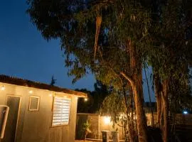 Hostal Los Eucaliptos