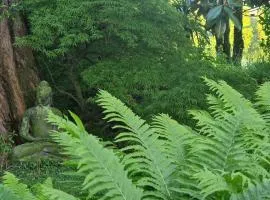 Studio Verde