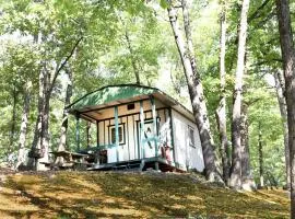 Cabin Resort with Pool, Firepit & Nature Escape Stay in Branson, Missouri