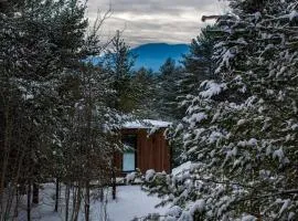 Mirrored Glass Cabin with Firepit & Forest Views in Au Sable Forks, New York