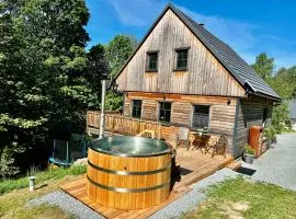 Chalet Olešnice