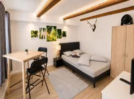 Innsbruck Old Town Studio I 24-7 Self-Check-in