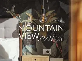 Mountain View Suites
