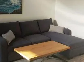 Appartement avec piscine partagée à Sarragachies
