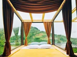 Glass House Merisi 2