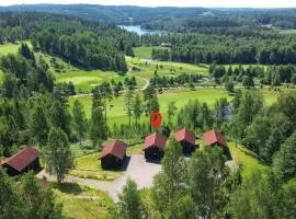 Beautiful Home In Årjäng With Sauna