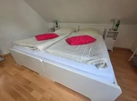 Haus Lina - Ferienwohnungen und Monteurunterkünfte - Wohnung 4