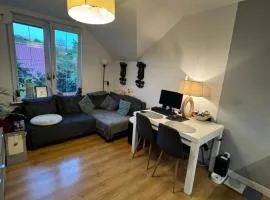 Apartament Aleksandra Gdańsk