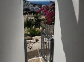 MIRA house