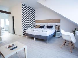 Haas Apartments – apartament w mieście Královo Pole