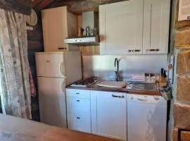 Kelosyväri 6