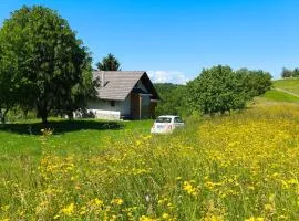 BRINA HOUSE, Nature Stay by Gorjanci