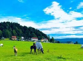 Reiter- und Ferienhof Wacker