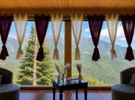 The Woodnest Tandi