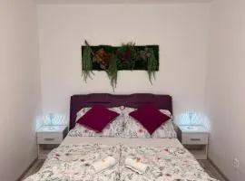 Apartmány KK