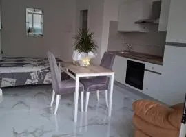 Shizzo residence