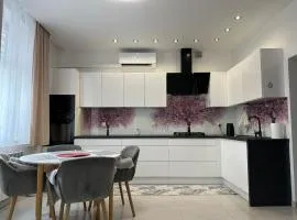 Apartament Panorama Beskidu - Rymanow Rynek