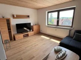 Stilvolle neu renovierte große Wohnung mit Parkplatz
