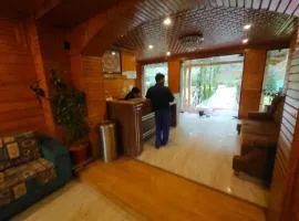 Palette Hotel Regency Valley View Pahalgam