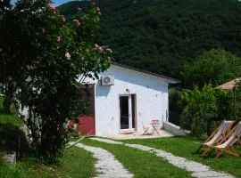 B&B Sottocolle