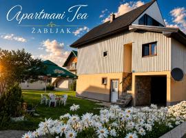 Studio Apartman Tea, Žabljak, Hotel in Žabljak