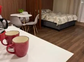 Apartastudio Palmira